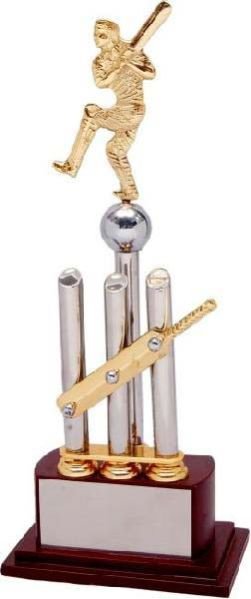 Cricket Trophiy (AN-324)