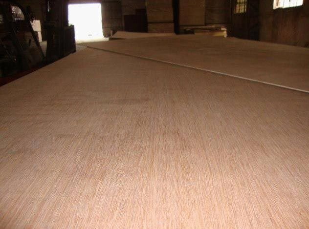 Gurjan Plywood 01