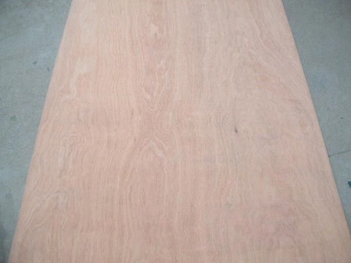 Gurjan Plywood 02