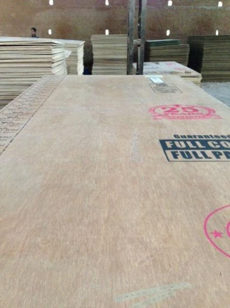 Gurjan Plywood 03