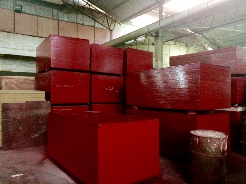 Shuttering Plywood 01