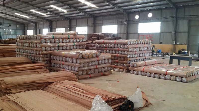 Natural Gurjan Face Veneer 01