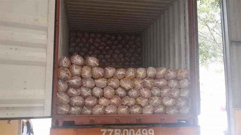 Natural Gurjan Face Veneer 02