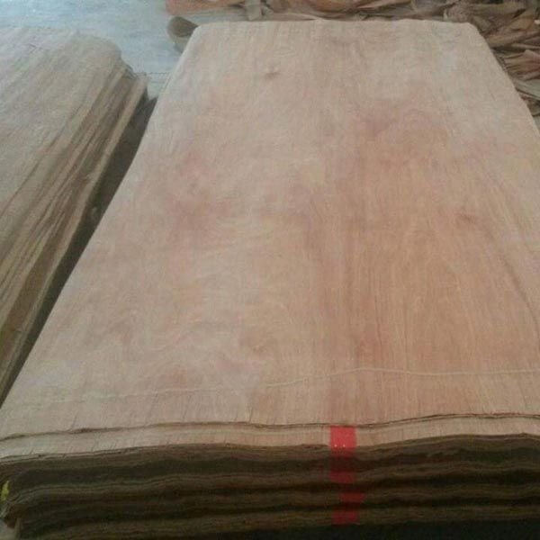 Natural Gurjan Face Veneer 04