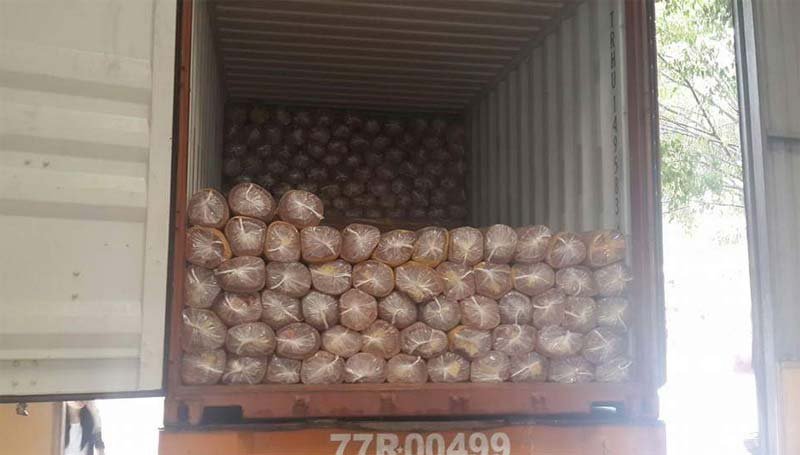 Natural Gurjan Face Veneer 04