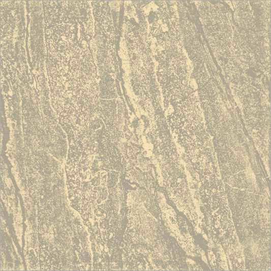Vitrified Tile 10