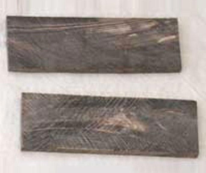 Buffalo Horn Plates - 02