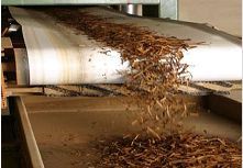 Polyolefin Conveyor Belt 02