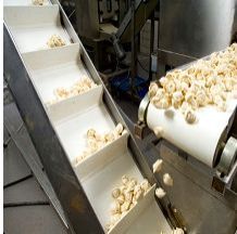 Polyurethane Conveyor Belt 03