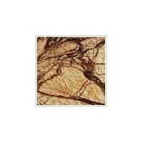 Forest Brown Marble Stone