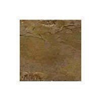 Indian Autumn Slate Stone