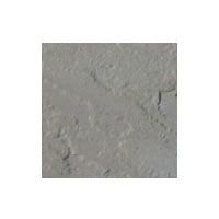 Kandla Grey Sandstone