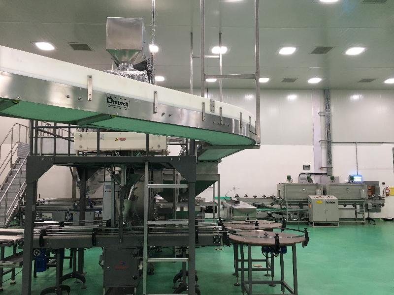 Overhead Conveyor System 02