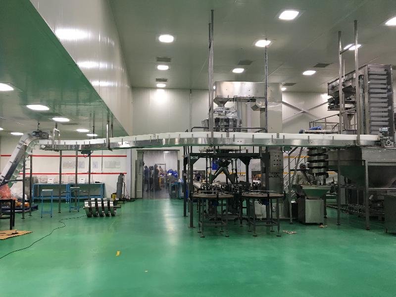 Overhead Conveyor System 02