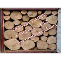 Gmelina Wood Log