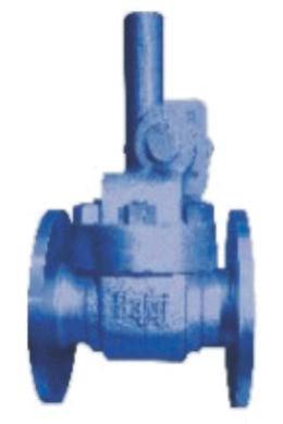 Cast Steel  Parallel Slide Blow Off Valve