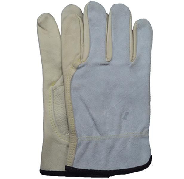 SND05203C.00 Leather Driving Gloves