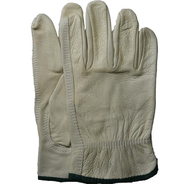 SND06203.00 Leather Driving Gloves