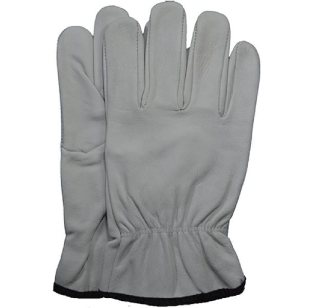 SND16001.00 Leather Driving Gloves