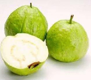 White Guava