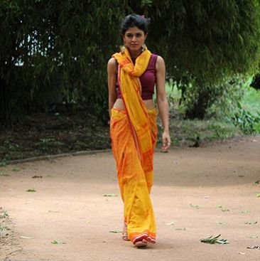 Cotton Shibori Saree 03