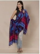 Silk Dupattas & Stoles 04