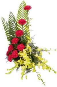 Item Code : Fvwbt-03