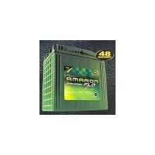 2.5 LB Amaron Battery