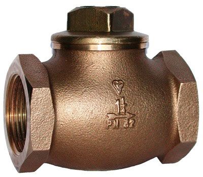 Steam Non Return Valve
