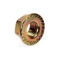 Flange Nut