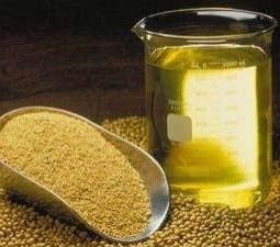 Soya Oil