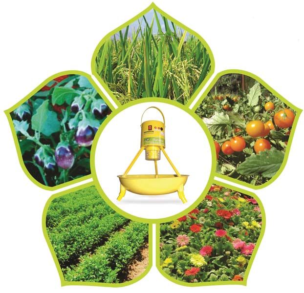 Timer Insect Light Trap