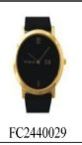 Designer Watches (FC2440029)