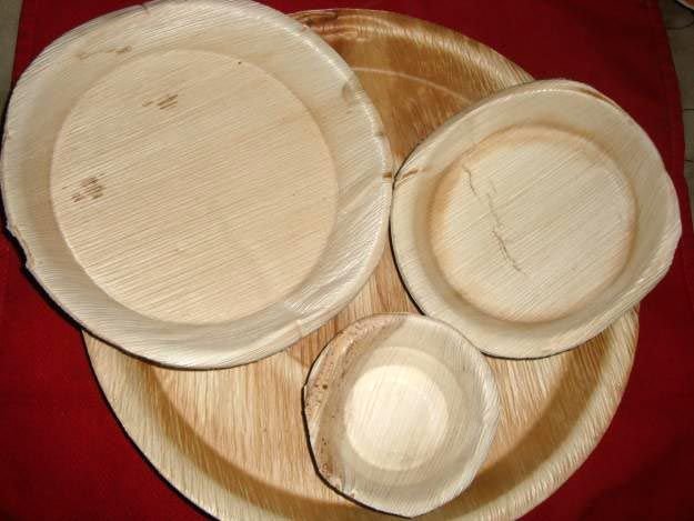 Areca Leaf Plates