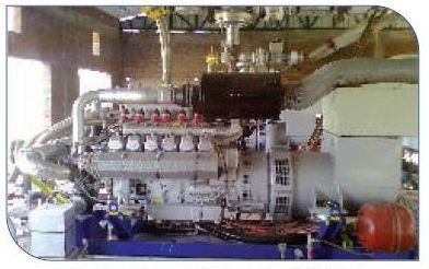 Bio Gas Genset 80 kWe to 2000 kWe