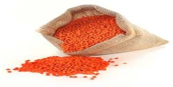 Red Lentils