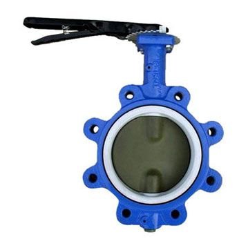 Teflon Butterfly Valve