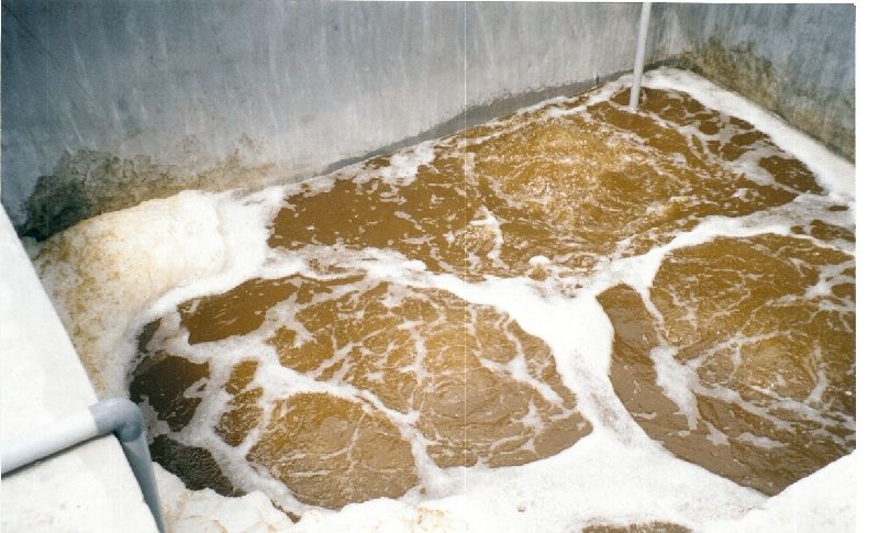 Sewage Treatment Plant 02