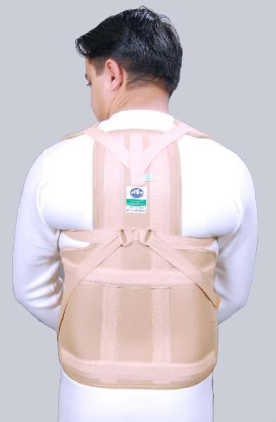 Back Support 01