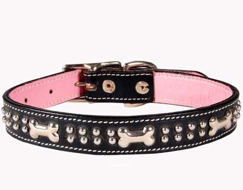 536A Dog Collar