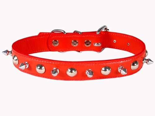 539 Dog Collar