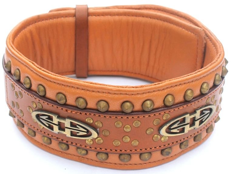 544 Dog Collar