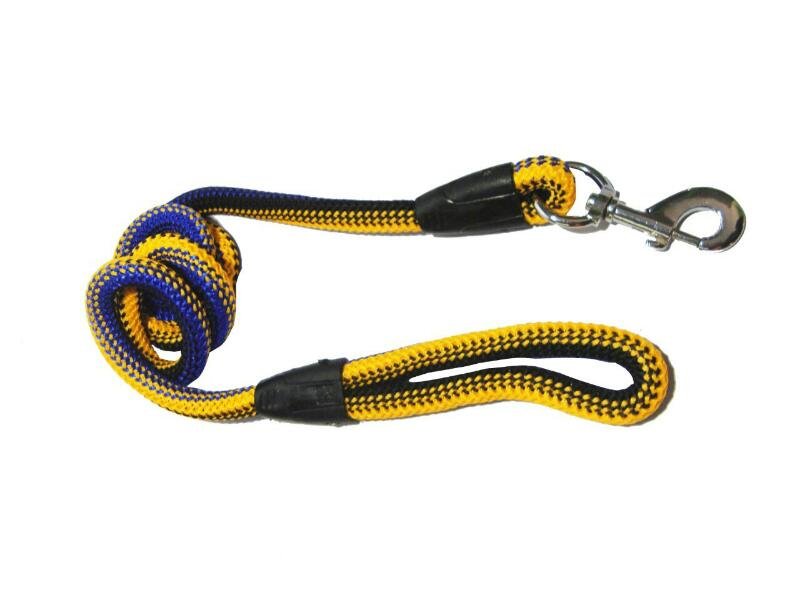 Yellow Back Dog Leash