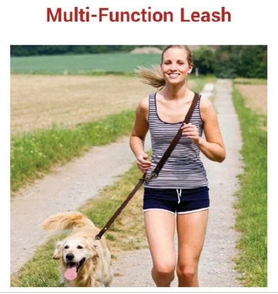 Multi Functional Dog Leash