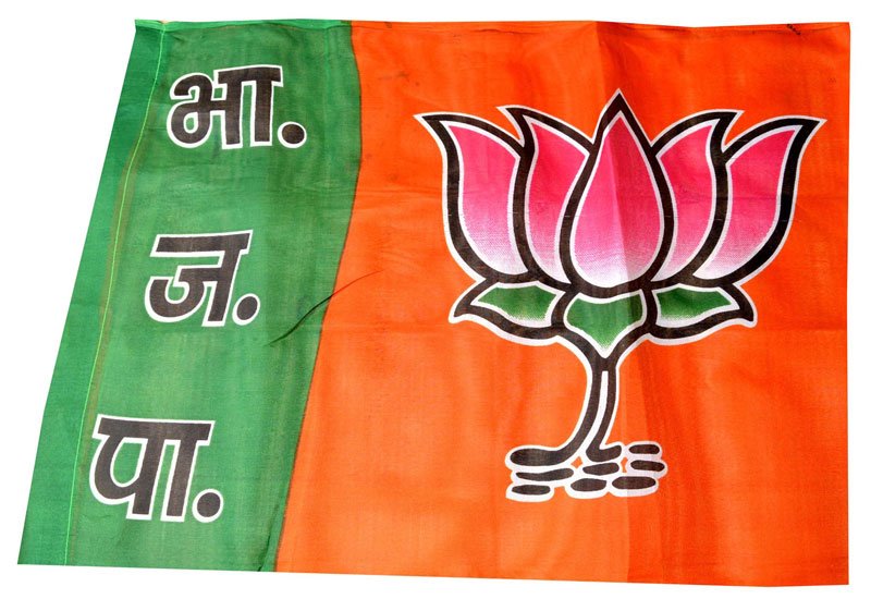 Election Flag (B.J.P)