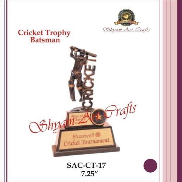 Item Code - SAC-CT-17