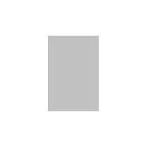 Grey Regular Wall Tile