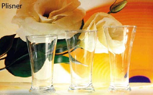 Pilsner-A Glass Tumblers