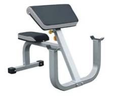 Preacher Curl Bench 01