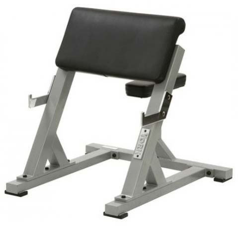 Preacher Curl Bench 02